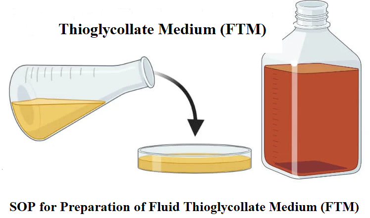 SOP for Preparation of Fluid Thioglycollate Medium (FTM)