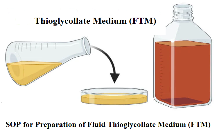 Fluid thioglycollate medium (FTM) for the detection of aerobic and anaerobic bacteria