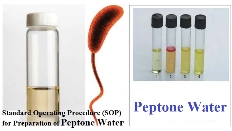 Standard Operating Procedure (SOP) for Preparation of Peptone Water