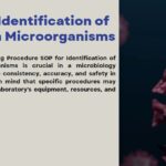 SOP for Identification of Unknown Microorganisms